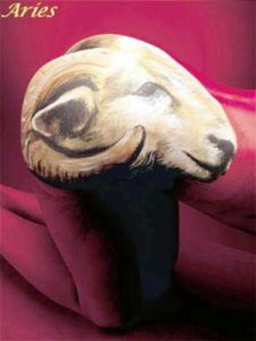 Product picture Aries Compatibility And Experiences