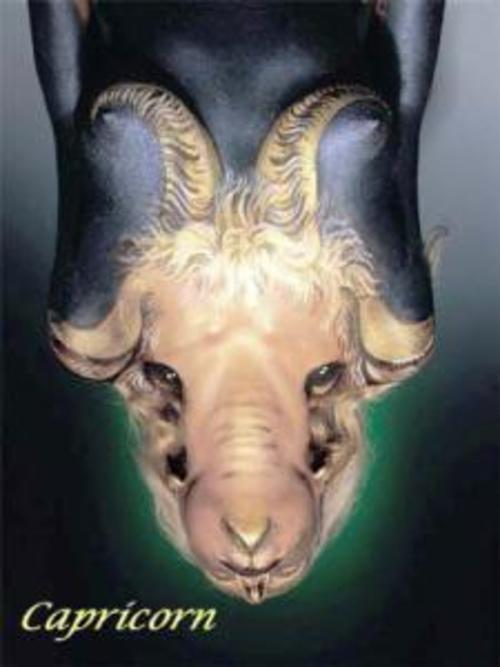 Product picture Capricorn Compatibility and Experiences