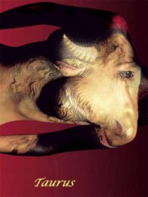 Product picture Taurus Compatibility and Experiences